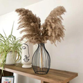 Dome Shape Metal Wire Glass Tube Vase Golden