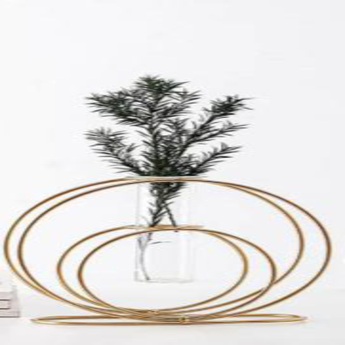 Round shape Metal Wire Glass Tube Vase